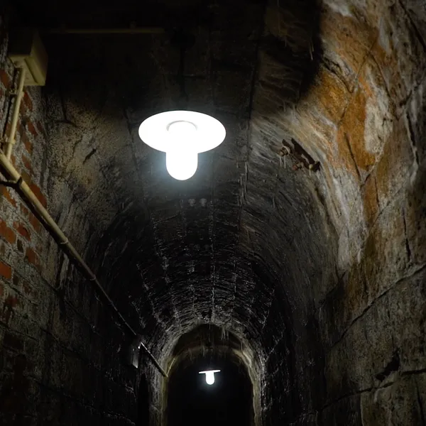 Tunnel